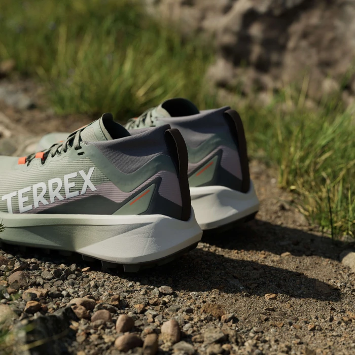 adidas Terrex Agravic GTX Trail silver green/cloud white/preloved fig (Damen)