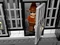 LEGO DC Universe Super Heroes - Ausbruch aus Arkham Asylum Vorschaubild