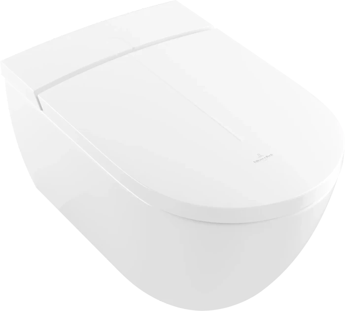 Villeroy & Boch Viclean