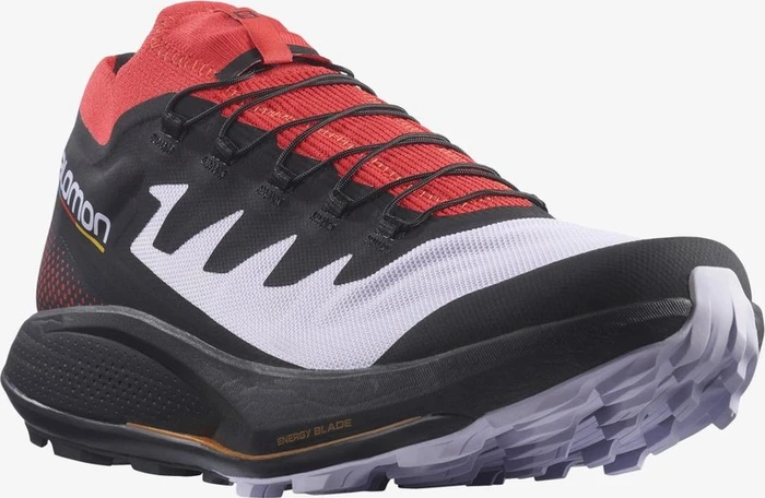 Salomon Pulsar Trail Pro purple heather/poppy red/black (Herren)