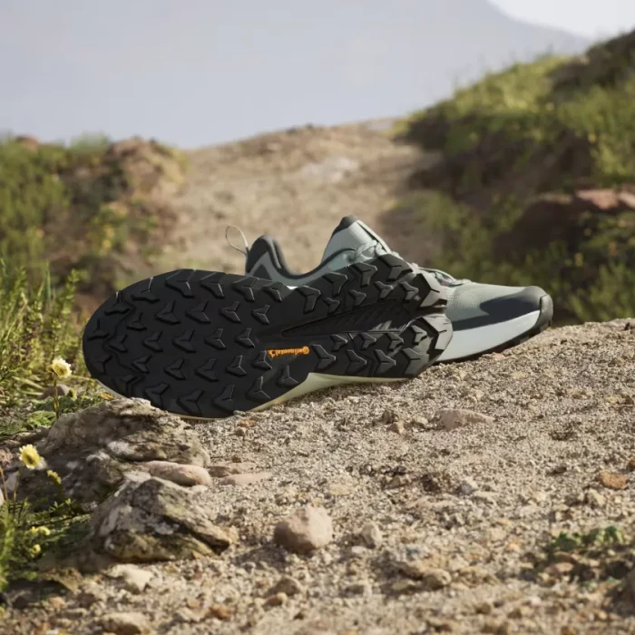 adidas Terrex Trailmaker 2.0 GTX silver green/preloved fig/crystal jade (Damen)