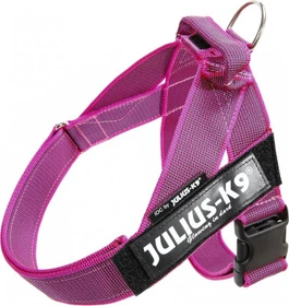 Julius K9 IDC Color & Gray Beltgeschirr M, Pink