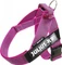 Julius K9 IDC Color & Gray Beltgeschirr M Vorschaubild
