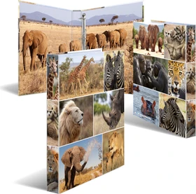 Herma 4D Ringbuch 4-Ring, 30mm, A4, Motiv Afrika Tiere
