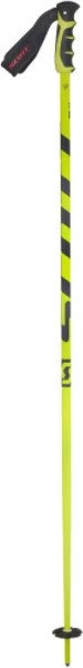 Scott Team Issue Freeride Skistock grün