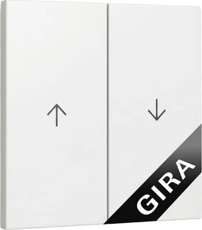 Gira Wippe 2fach mit Pfeilsymbol 3294
