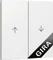 Gira Wippe 2fach mit Pfeilsymbol 3294 Vorschaubild
