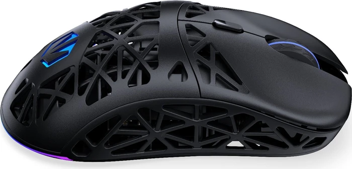 Endorfy LIV Wireless, schwarz, USB/Bluetooth