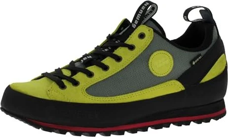 Hanwag Rotpunkt Low GTX pistacchio/graphite (Herren)