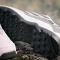 adidas Terrex Eastrail GTX preloved fig/core black/crystal jade (Damen) Vorschaubild