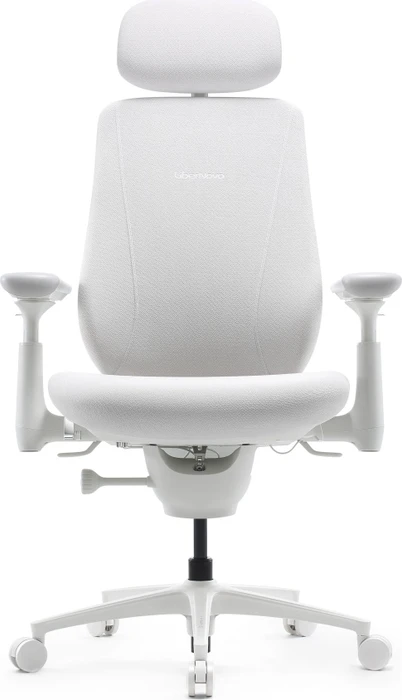 LiberNovo Maxis Electric, glacier