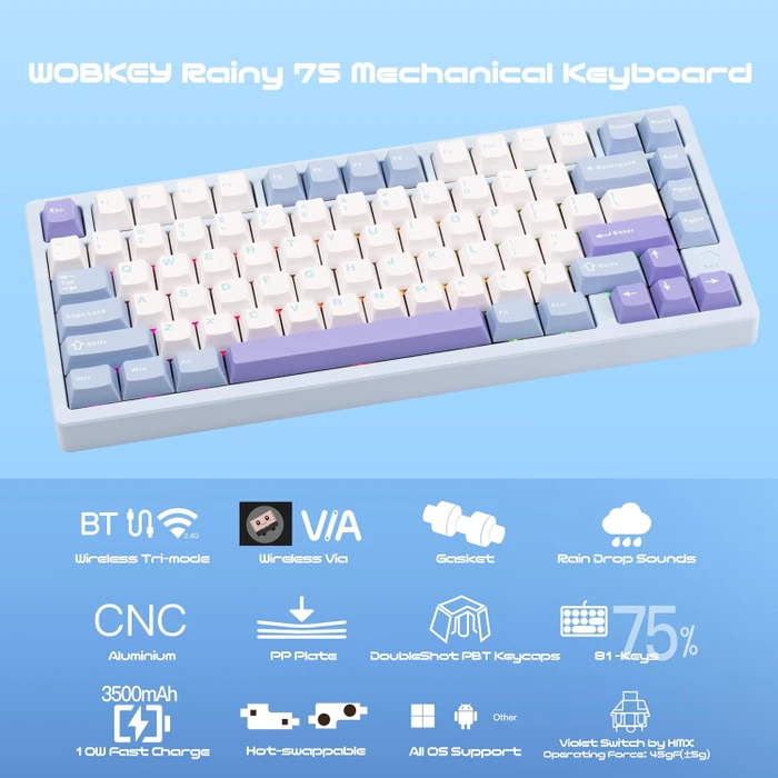 Wobkey Rainy 75 Standard, blau, LEDs RGB, HMX Violet Linear, USB/Bluetooth, US