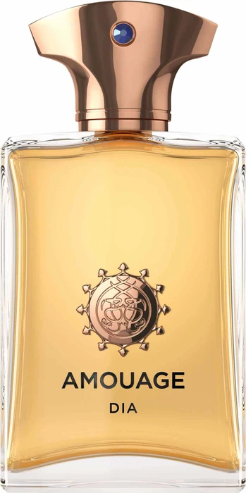 Amouage Dia Man Eau de Parfum, 100ml