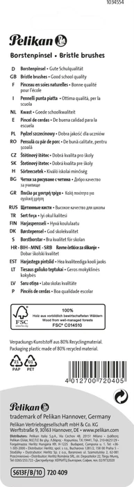 Pelikan Sorte 613F Borstenpinsel Gr. 4/6/8/10/12 Pinselset, 10-tlg.