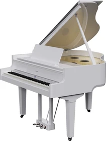 Roland GP-9 weiß