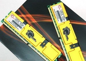 G.Skill Value UDIMM 1GB Kit, DDR2-667, CL4-4-4-12