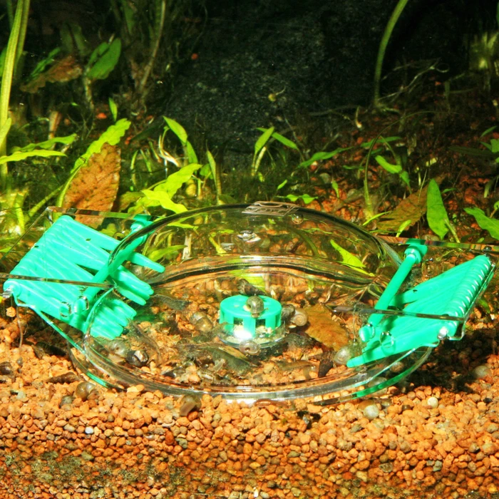 JBL LimCollect II, Chemiefreie Schneckenfalle für Aquarien