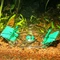 JBL LimCollect II, Chemiefreie Schneckenfalle für Aquarien Vorschaubild