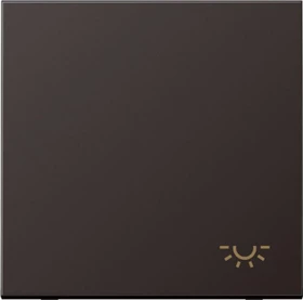 Jung Serie LS Wippe Symbol Licht, dark