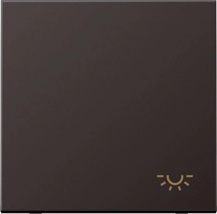 Jung Serie LS Wippe Symbol Licht, dark