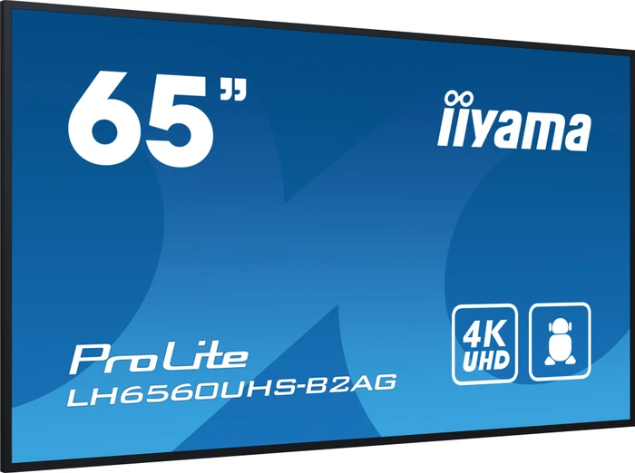 iiyama ProLite LH6560UHS-B2AG, 64.5"