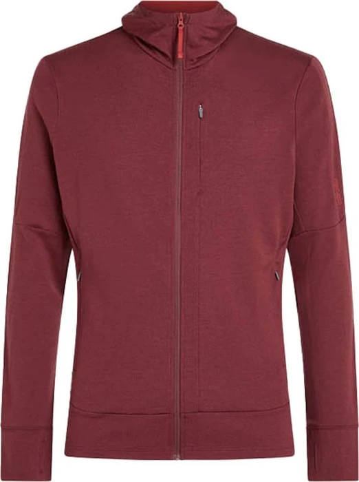 Icebreaker 260 Quantum Zip Hoodie Funktionsjacke port/agate (Herren)