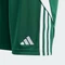 adidas Tiro 24 Shorts team dark green/white (Junior) Vorschaubild