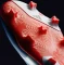 adidas Predator League Laceless FG lucid blue/cloud white/solar red Vorschaubild