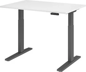 Hammerbacher Ergonomic Aktiv XMKA12 elektrisch höhenverstellbarer Sitz-Steh-Schreibtisch 120x80cm weiß/grau