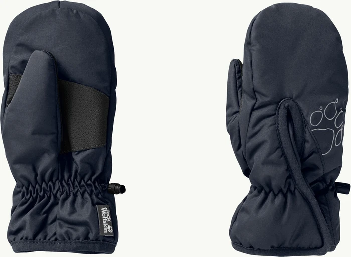 Jack Wolfskin Easy Entry Skihandschuhe (Junior) (Modell 2022)