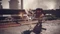 NieR: Automata (Download) (PC) Vorschaubild
