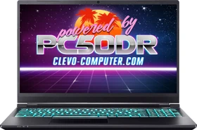 Clevo PC50DR, Core i7-10870H, 32GB RAM, 512GB SSD, GeForce RTX 3070, DE (SW15332)