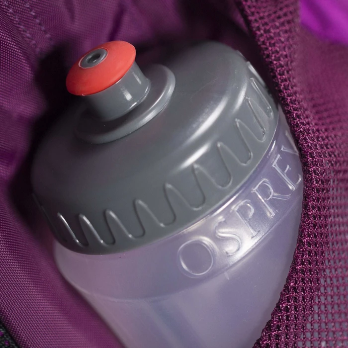Osprey Daylite Plus 20 eggplant purple