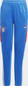 adidas FC Bayern München Condivo 22 Trainingshose lang bright royal (Junior)