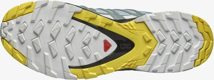 Salomon XA Pro 3D V8 GTX zen blue/white/golden kiwi (Damen)