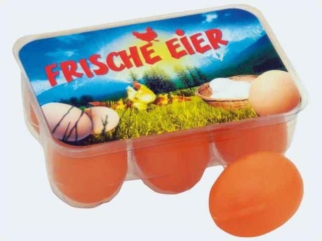 Tanner 6 Eier in Box (0312.3)