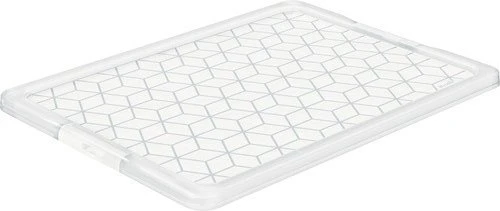 Rotho Evo Easy Storage Deckel für Aufbewahrungsbox 791x28x593mm, transparent/transparent