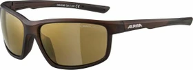 Alpina Defey brown transparent matt/ceramic mirror gold