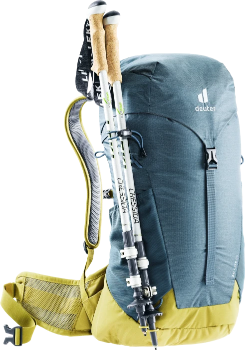 Deuter AC Lite 24 arctic/turmeric