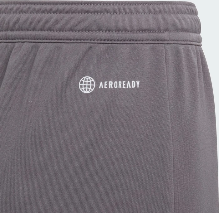 adidas Entrada 22 Shorts team grey four (Junior)