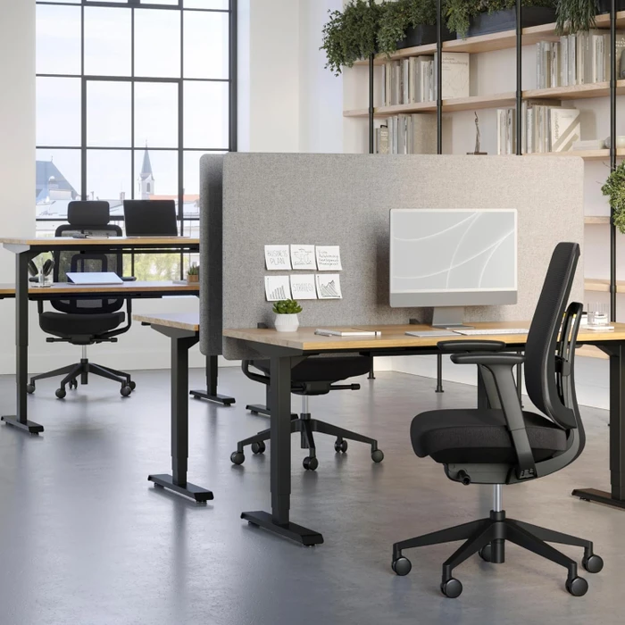 Ergotopia PureBack ergonomischer Bürostuhl, schwarz