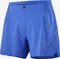 Salomon Sense Aero 5 Hose kurz (Herren) Vorschaubild