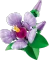 LEGO Botanicals - Hibiskus Vorschaubild