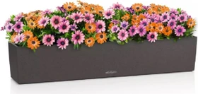 Lechuza Balconera Stone 100 graphitschwarz