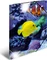 Herma Glossy Tiere Sammelmappe, A3, Fische, 3er-Pack Vorschaubild