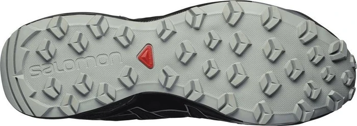 Salomon Speedcross Vario 2 GTX phantom/black/monument (Herren)