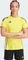 adidas Tiro 2024 Trikot kurzarm team yellow/white (Damen) Vorschaubild
