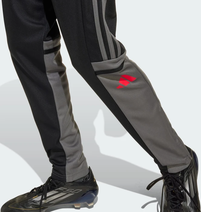 adidas Squadra 25 Trainingshose lang black/team grey four/pure ruby (Junior)