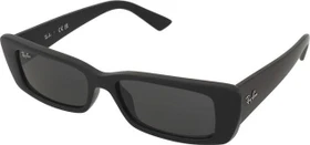 Ray-Ban RB4425 Teru Bio-Based polished black/dark grey