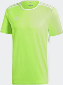 adidas Entrada 18 Trikot kurzarm solar green/white (Herren)